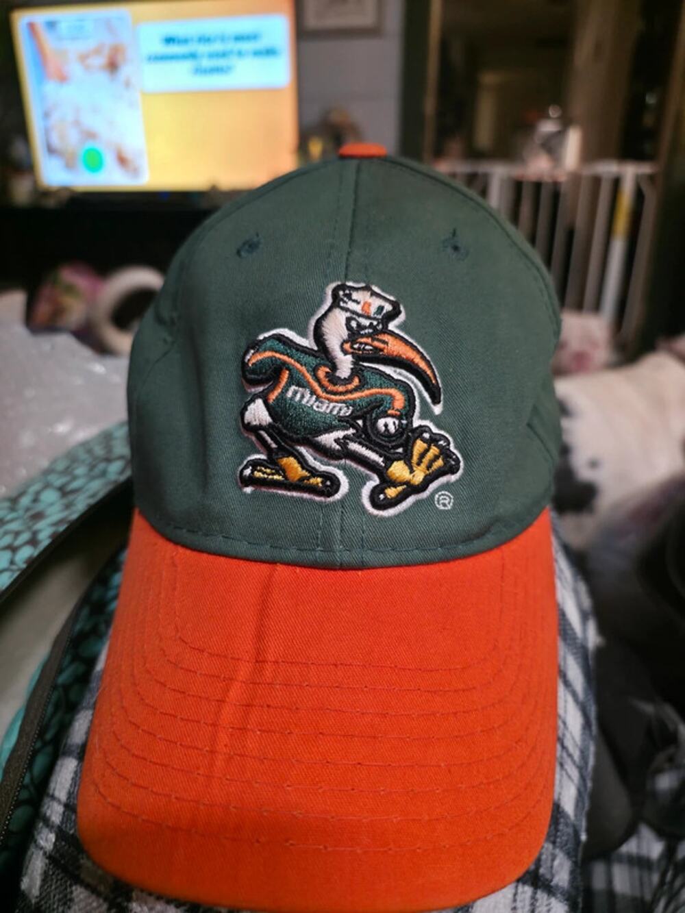 Vintage Miami Hurricanes Youth Strapback Hat - Sebastian the Ibis